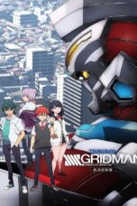 SSSS.Gridman Movie (2023) กริดแมน มูฟวี่